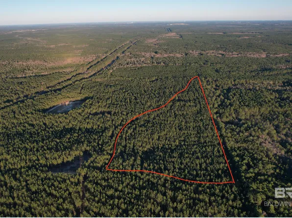 0 Timber Company Rd Lot 6, Robertsdale, AL 36567