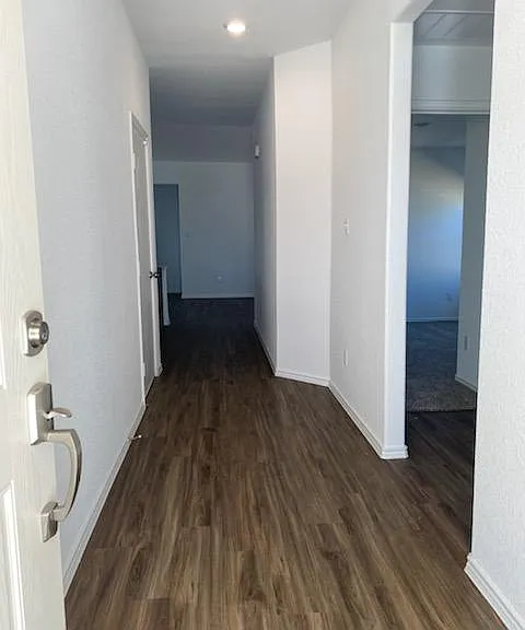3214 Dusted Daisy St — Photo 11