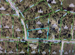 0 Yellowlegs Ave, Brooksville, FL 34614