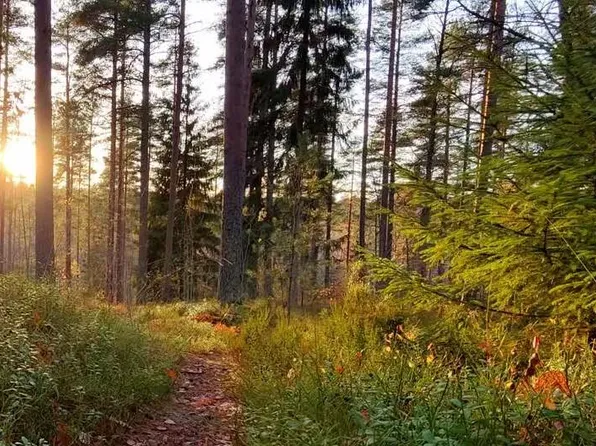 1605 Sterling Oaks Ct SE, Ada, MI 49301