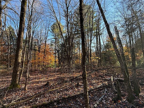 5th image of County Route 23 Lot 5