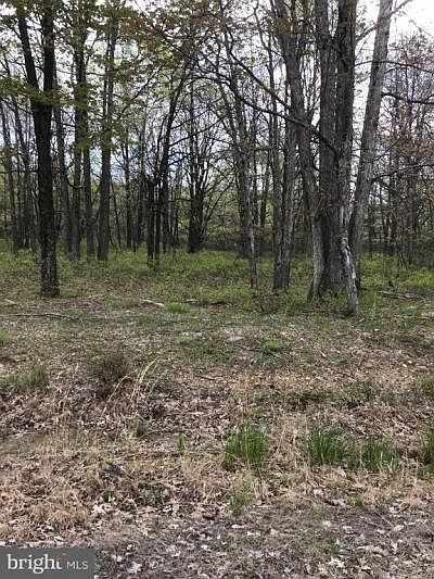 1st image of 199 Castle Pine Ln
