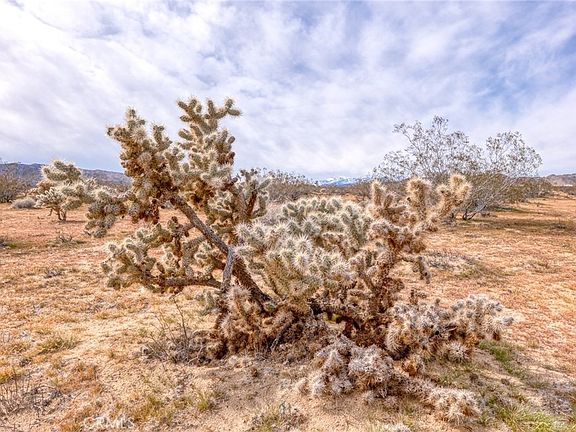 2nd image of 147 Littlefield Rd