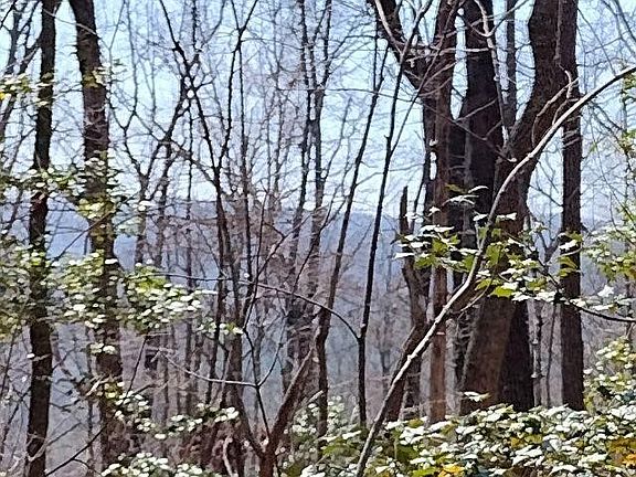 3rd image of 465 Huse Watson Rd