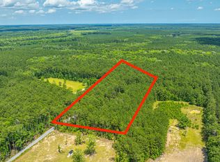 6774 Spring Grove Rd, Adams Run, SC 29426