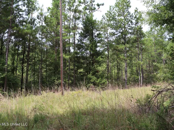 Sulphur Springs Rd, Camden, MS 39045