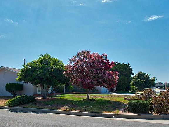4th image of 1303 W Vine Ave
