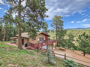 65 Copper King Ct, Cripple Creek, CO 80813