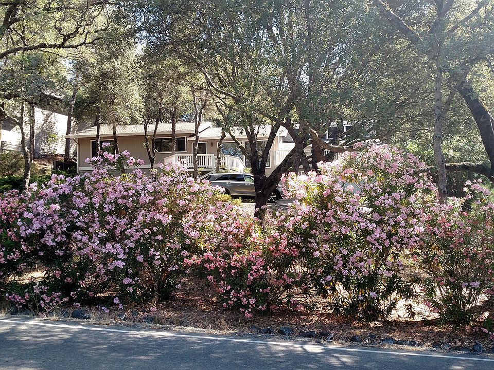 View from Chaparral Drive