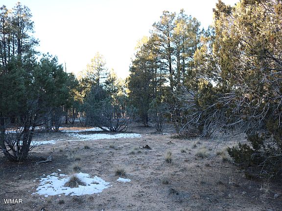 5th image of 4610 W Hawthorn Rd