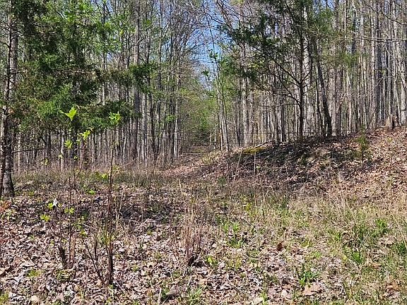 2nd image of Benton Tidwell Rd