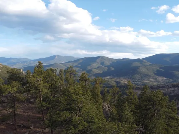 Delwood Drive, Bailey, CO 80421