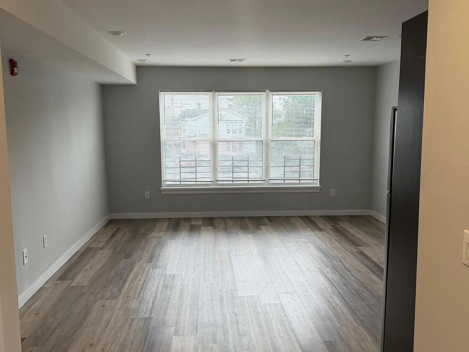 Studio, $1,431 — Photo 4