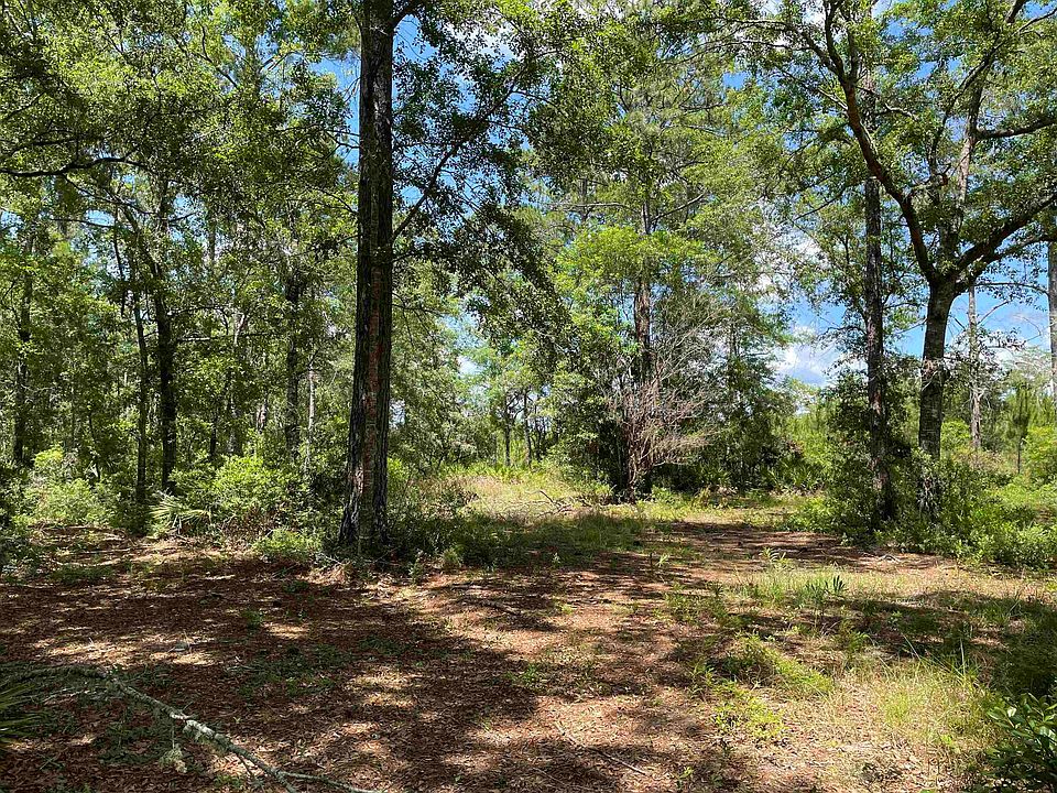 Oneal Grade Rd, Lamont, FL 32336 MLS 355330 Zillow