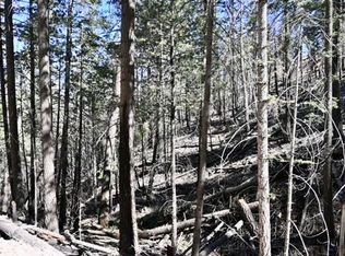 Forest Rd #330, Magdalena, NM 87825