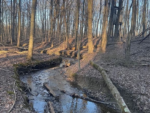 5th image of White Rd