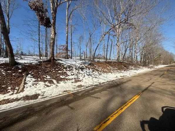 TRACT 4 State Route 225, Henderson, TN 38340