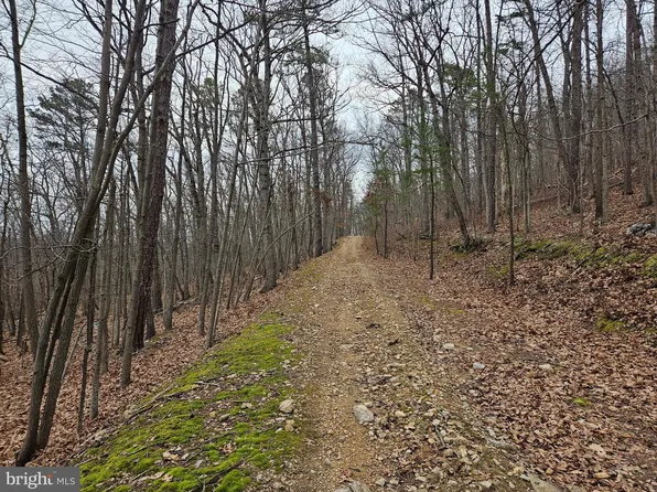 Chapman Ln, Boyce, VA 22620