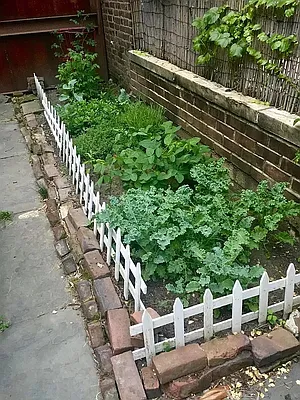 Rented by Jonathan Wachtel, LREB | media 17