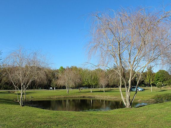 View of pond looking NE 