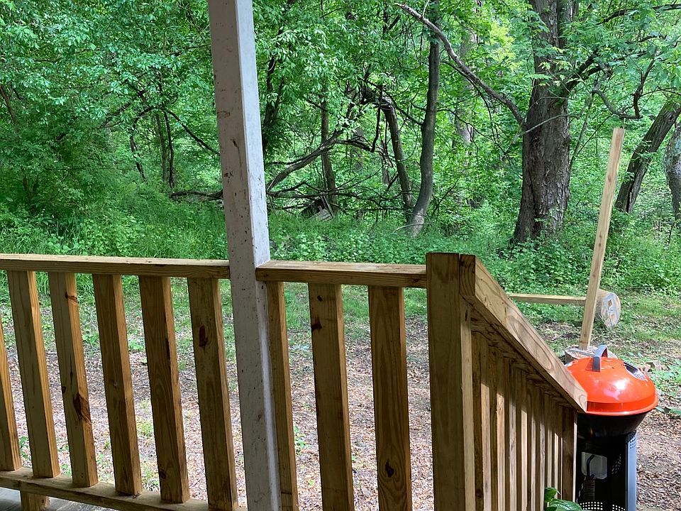 Back yard view