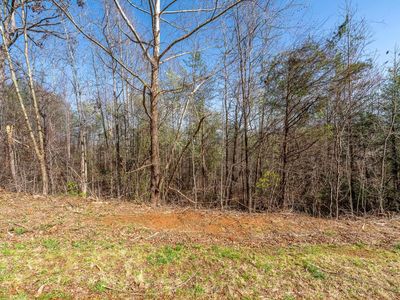 10 Sawblade Rdg, Marietta, SC, 29661
