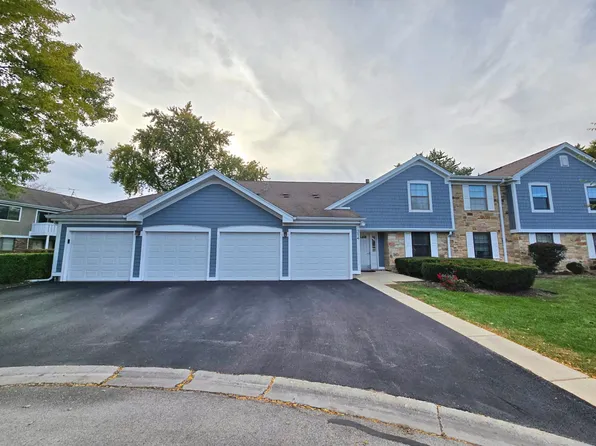 314 Wildberry Ct, Schaumburg, IL 60193