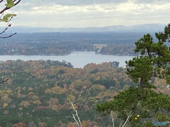 83 Cruick Shank, Leesburg, AL 35983