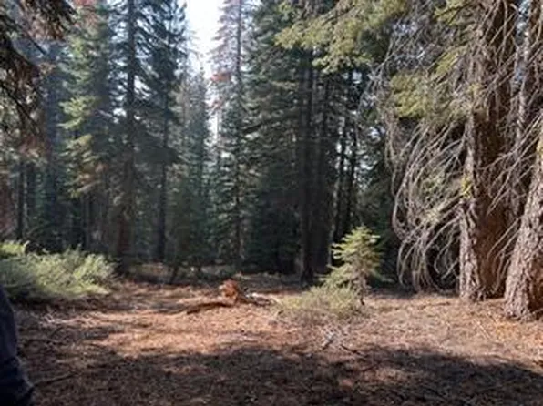 23 Blue Rock Trl, Arnold, CA 95223