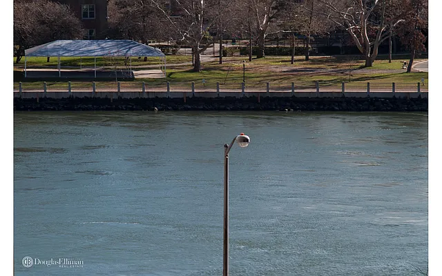 Rented by Douglas Elliman | media 6