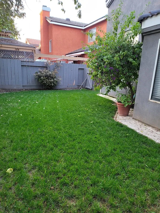 4 bed, 2400 sqft, $850 — Photo 2