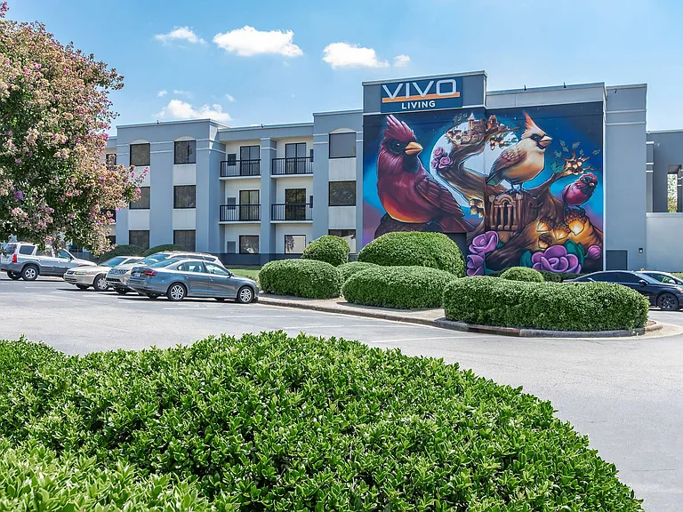 Vivo Living Raleigh — Photo 35
