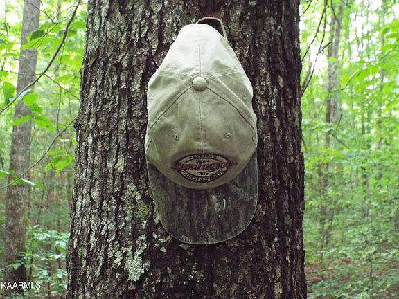 5th image of Nashville Hwy