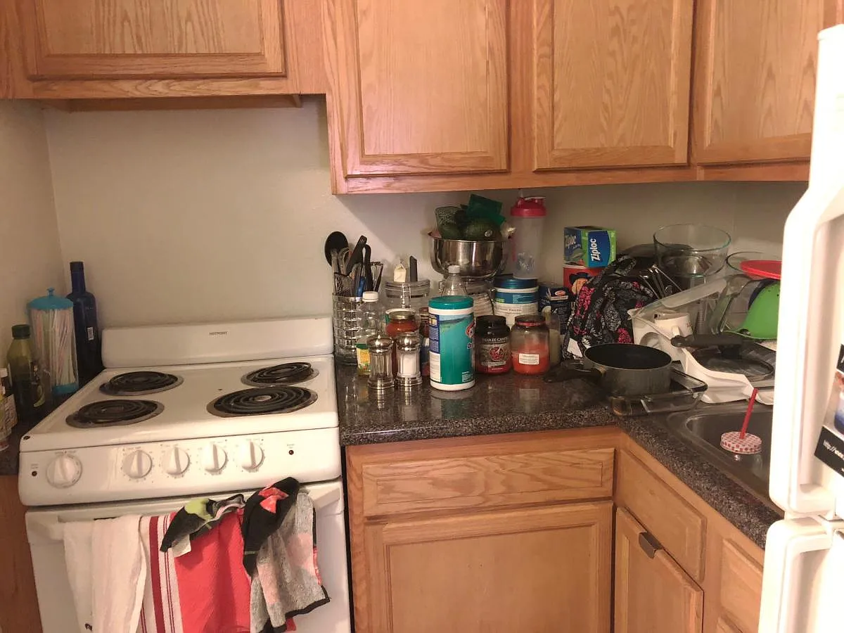 1 bed, $2,400 — Photo 4