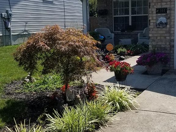 2nd image of 144 Black Water Ln