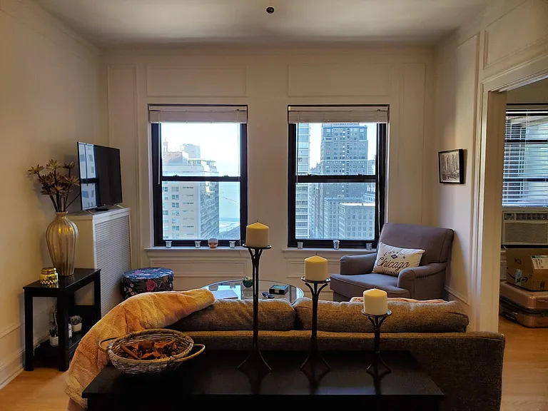 40 East Oak Street — Photo 10