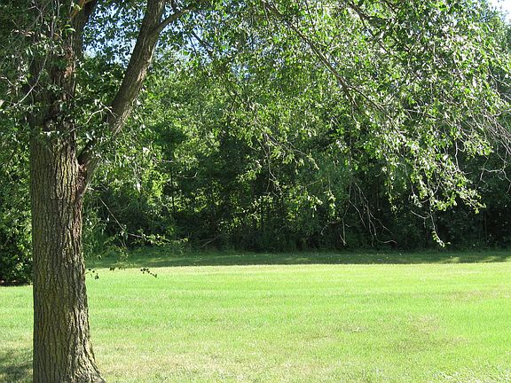Huge Backyard