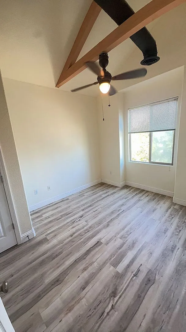 West Davis apartment — Photo 4