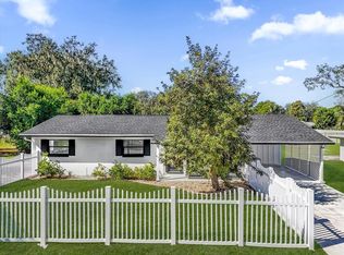 431 Belle Ayre Dr, Mount Dora, FL 32757