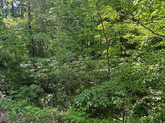 2nd image of 0 College St