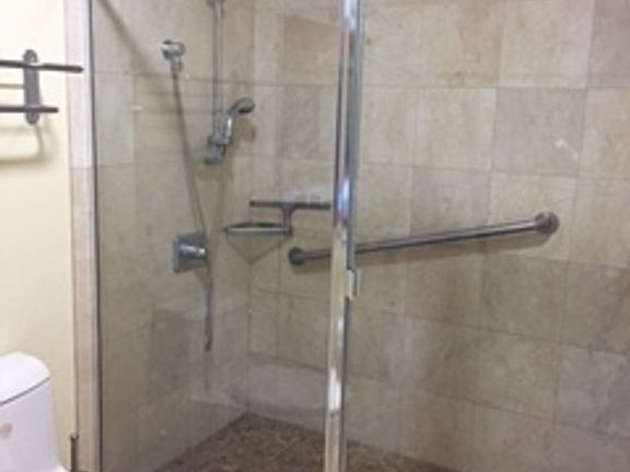Walk-in Shower in Guest Bath