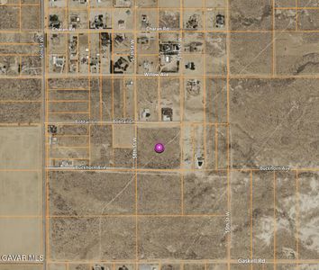 Bobtail, Rosamond, CA, 93560