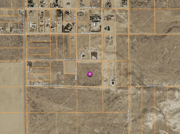 Bobtail, Rosamond, CA 93560