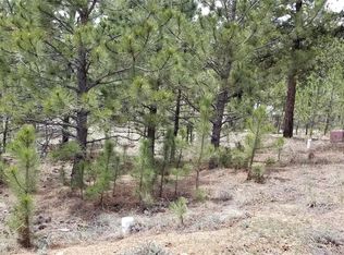 155 Green St, Bailey, CO 80421