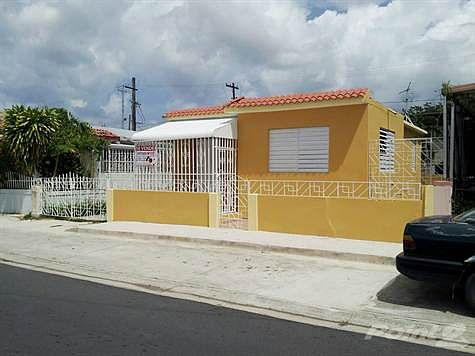 ANGLE PINTADA