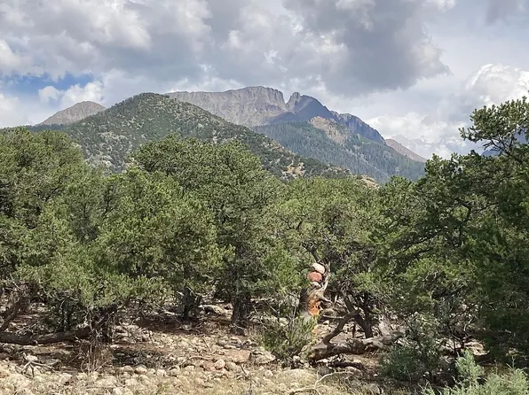 2770 N Carefree Way, Crestone, CO 81131
