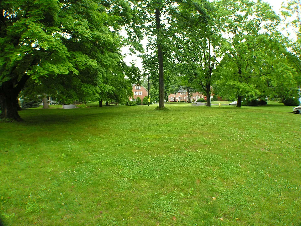 Private yard