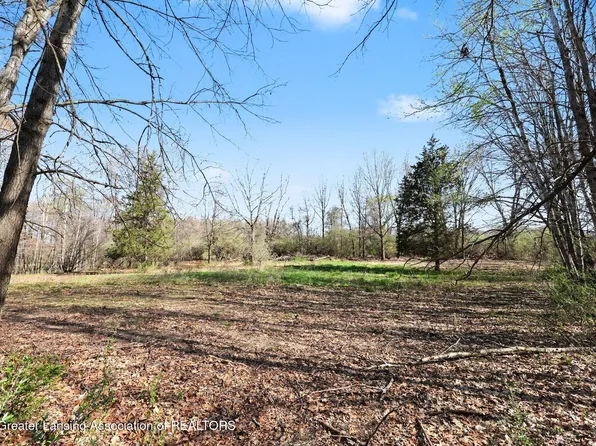 0 Territorial Rd, Stockbridge, MI 49285