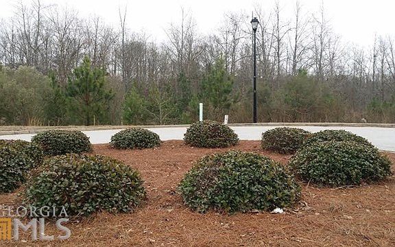 5th image of 4596 Mossey Dr