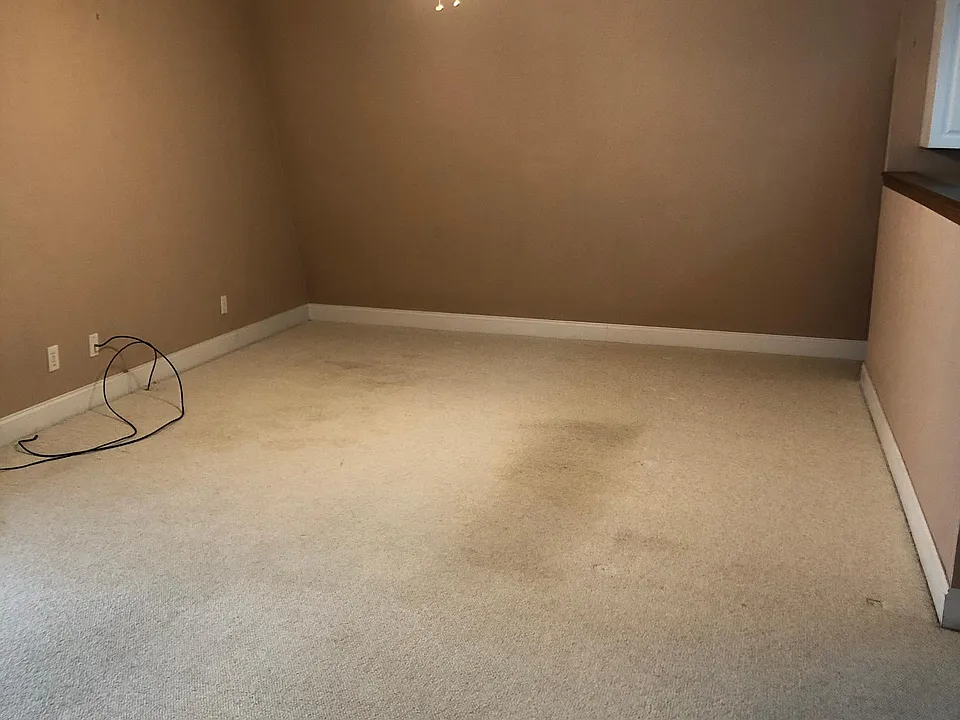 Living room - open to the kitchen on the right hand size